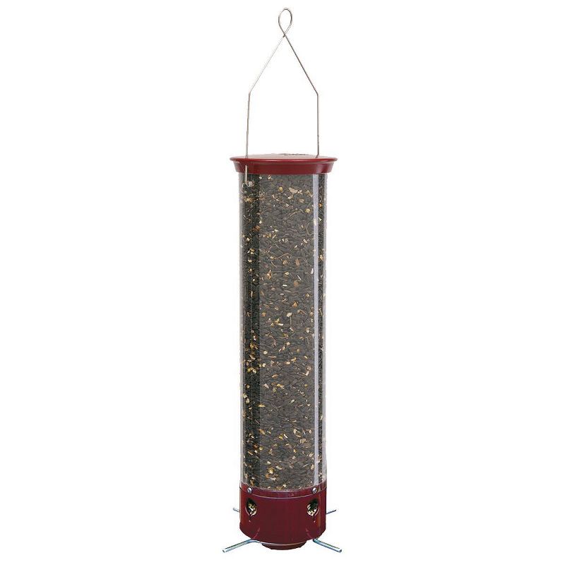Droll Yankees Yankee Dipper Collapsing Straight Perch Squirrel Proof Bird Feeder - Red - 21"