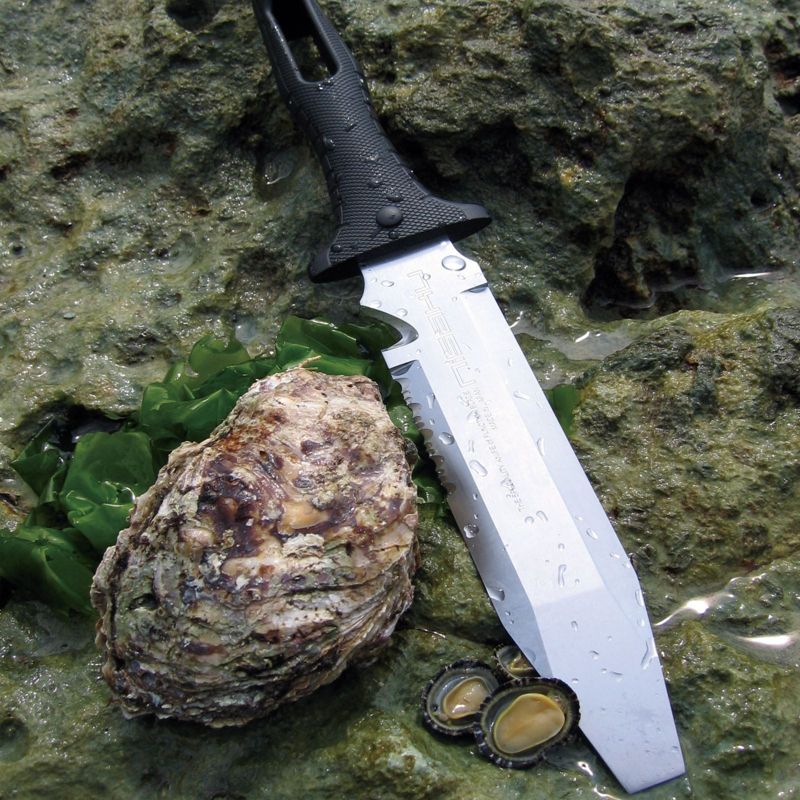 Earthquake 3-Inch Fishtail Point Earth Auger Bit & Earthquake 2-Inch Auger Bit