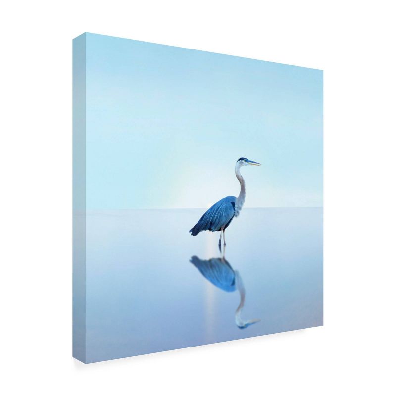 24" x 24" James McLoughlin 'Beachscape Heron II' Unframed Wall Canvas - Trademark Fine Art