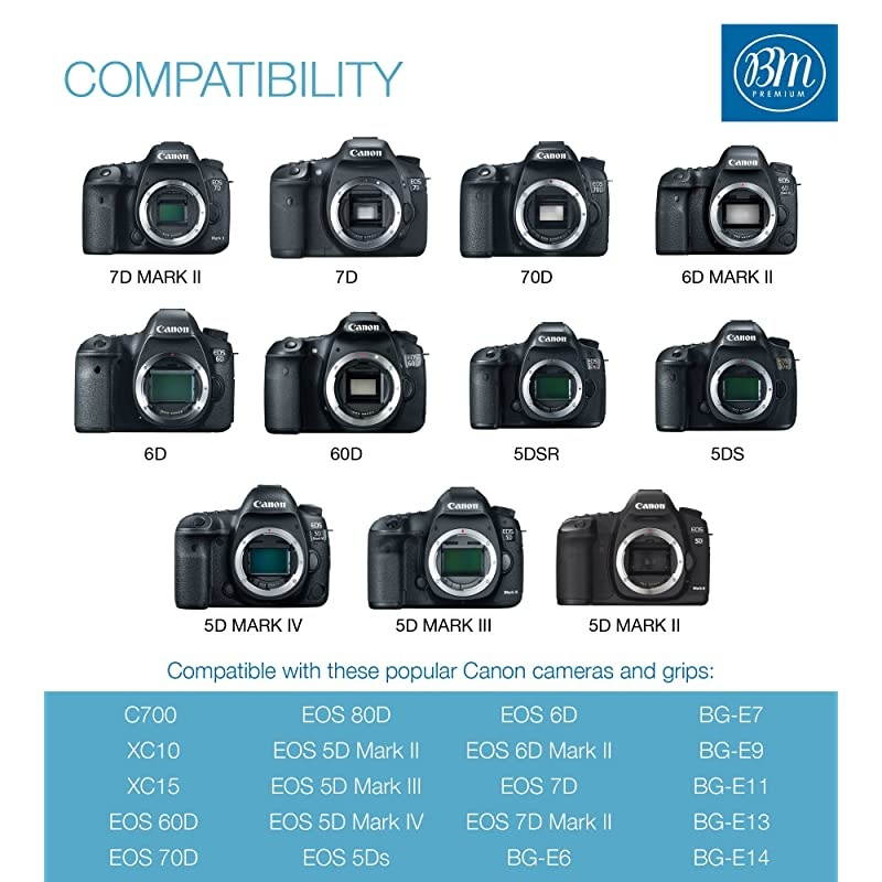 2 Pack LPE6N Batteries and Charger for Canon EOS R EOS 90D EOS 60D EOS 70D EOS 80D EOS 5D II EOS 5D III EOS 5D IV EOS 5Ds EOS 6D EOS 6D Mark II EOS 7D EOS 7D Mark II XC10 XC15 Camera