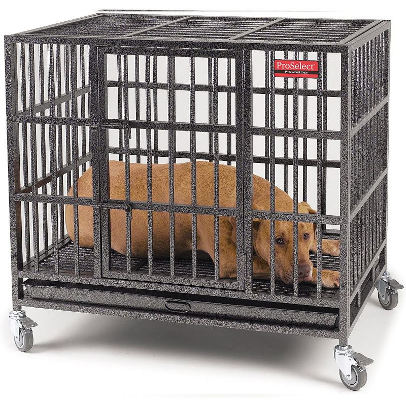 Pet Edge ZW179 37 Indestructible Steel Crate Dog Cat Small Animal Medium Wheeled Pet Cage with Tray, Black