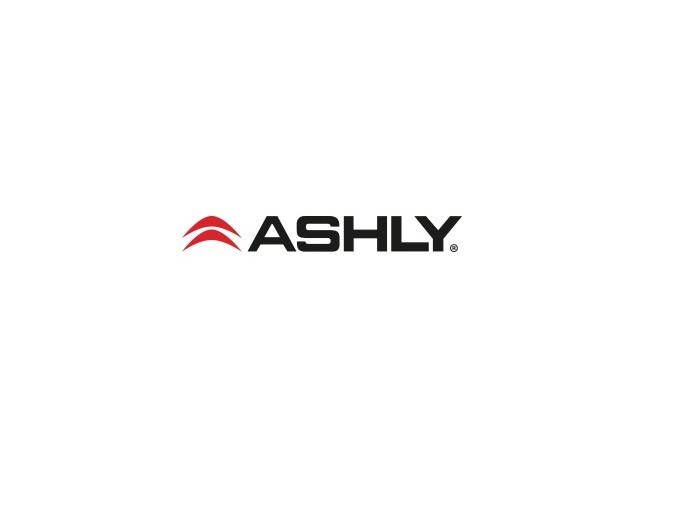 Ashly 8 x 3 inch Passive Dual-Z Focused Directivity Column Speaker (Single White)