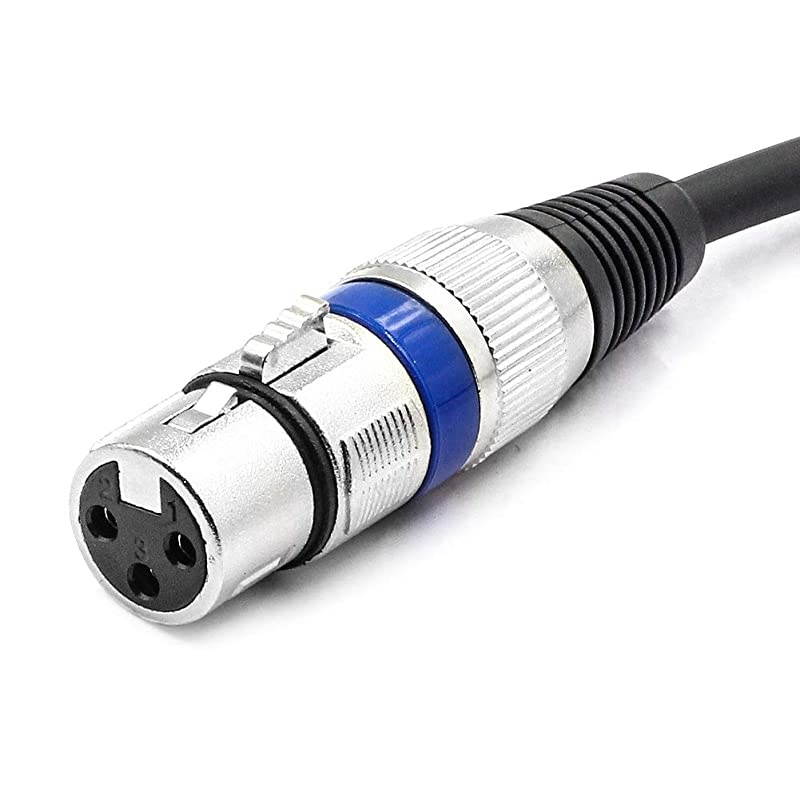 XLR to 35mm 18 inch Stereo Microphone Cable for Camcorders DSLR Cameras Computer Recording Device and More 10ft