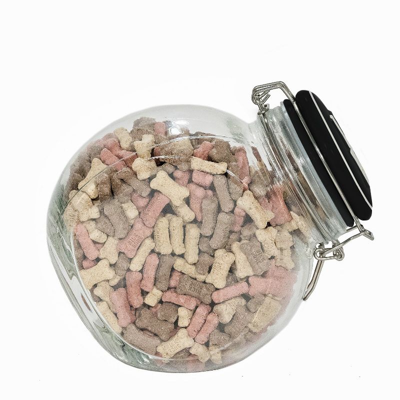 Amici Pet Love Space Saver Glass Food Canister, Turquoise, 72oz