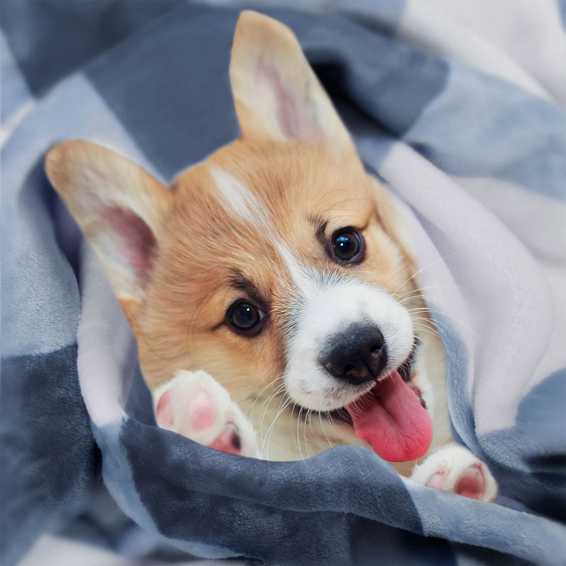 1 Pc Twin Polyester Flannel Fleece Bed Blankets Pink  - PiccoCasa