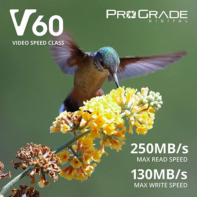 SD UHSII 256GB Card V60 Up to 130MBs Write Speed and 250 MBs Read Speed | for Professional Vloggers Filmmakers Photographers Content Curators by