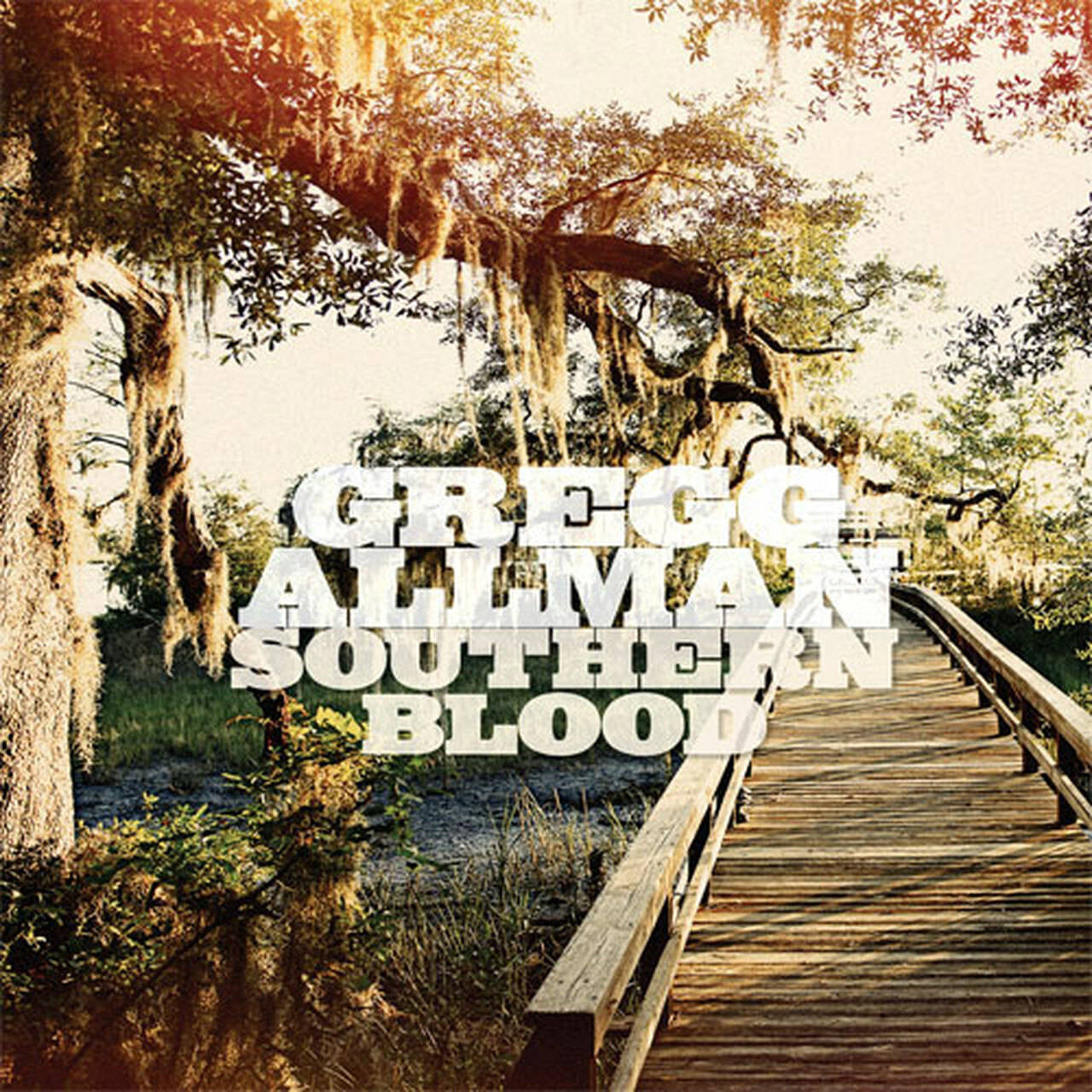 Gregg Allman Southern Blood LP (Vinyl)