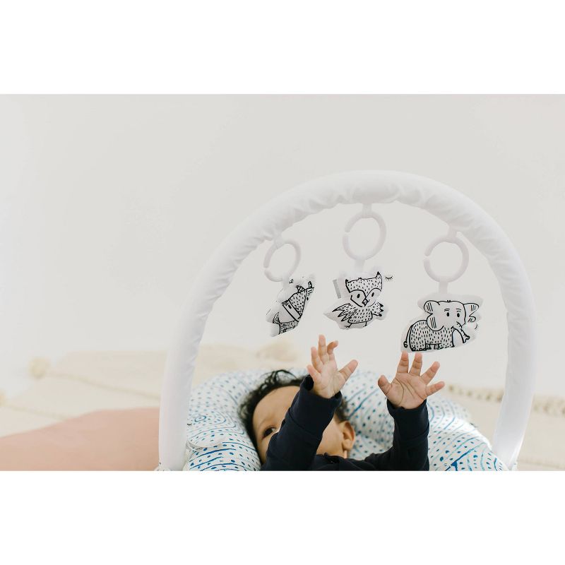 Simmons Kids' Silent Auto Gliding Elite Bassinet - Odyssey