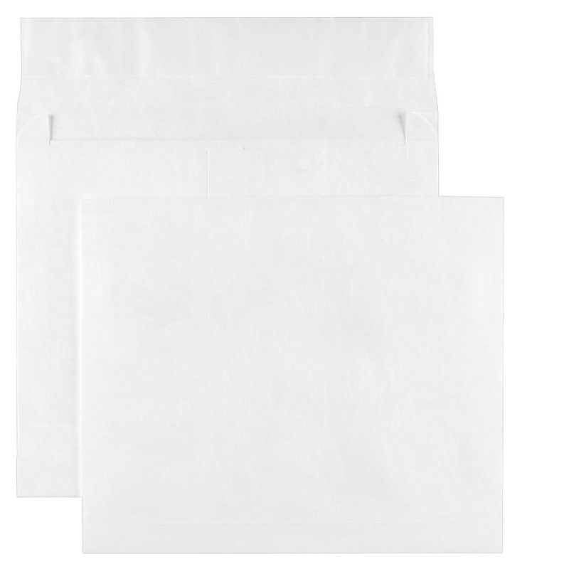 Survivor Tyvek Expansion Mailer 10 x 13 x 2 White 18lb 100/Carton R4430