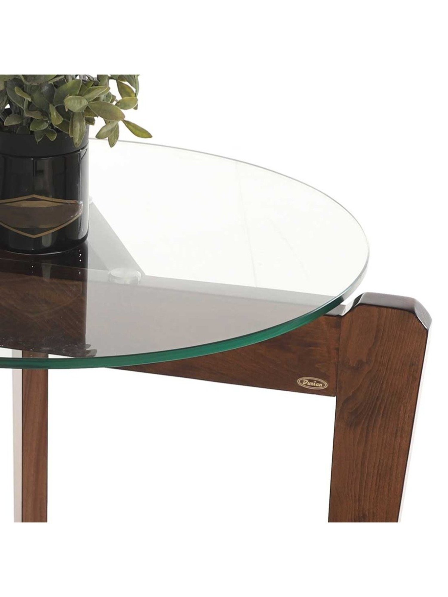 Durian Brenton Walnut Brown Solid Wood Coffee Table in Stain Walnut Finish