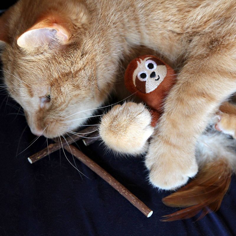 Quirky Kitty Silvervine Stick Sloth Cat Toy - Brown