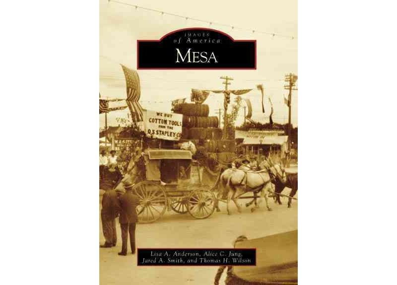 Mesa - by Lisa A. Anderson (Paperback)