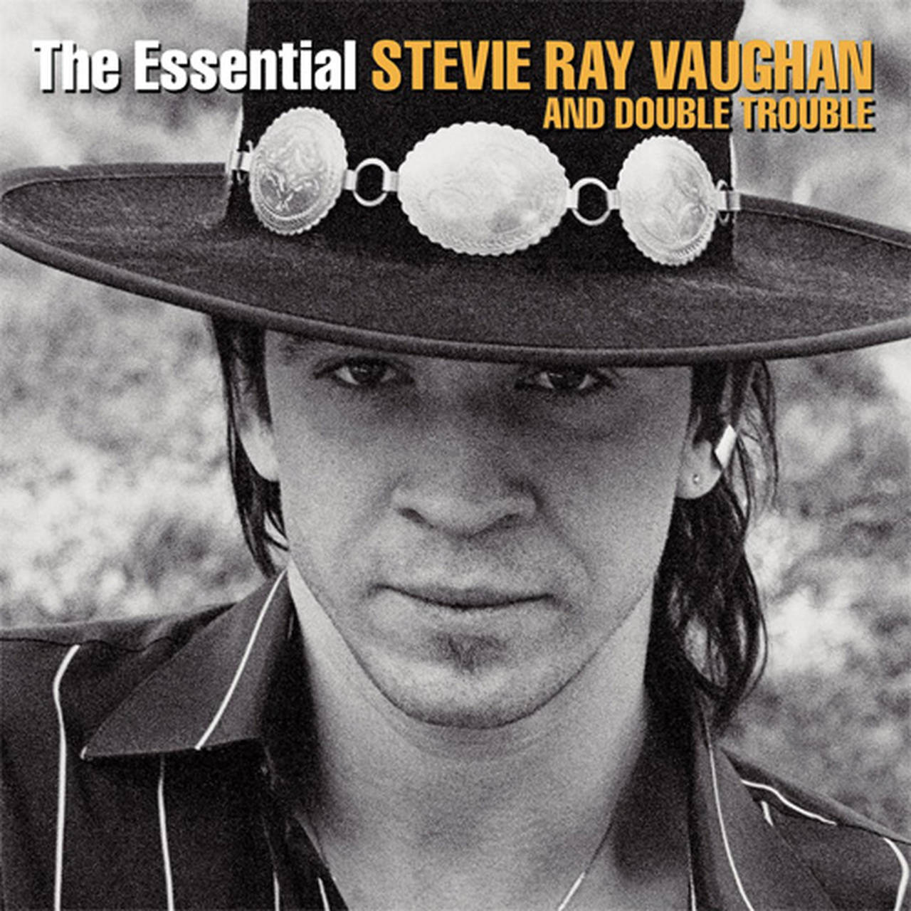 Stevie Ray Vaughan & Double Trouble The Essential Stevie Ray Vaughan & Double Trouble 2LP (Vinyl)