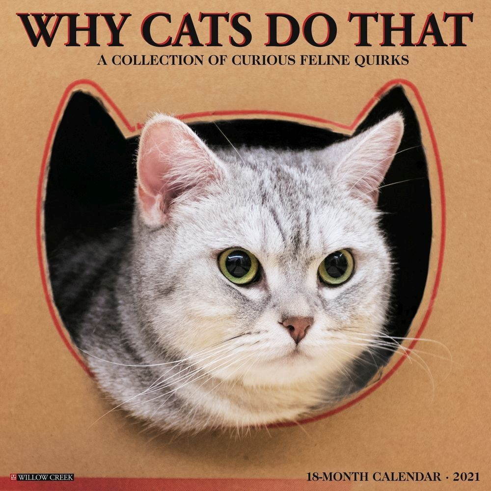 Willow Creek Press,  Why Cats Do That 2021 Wall Calendar 2021