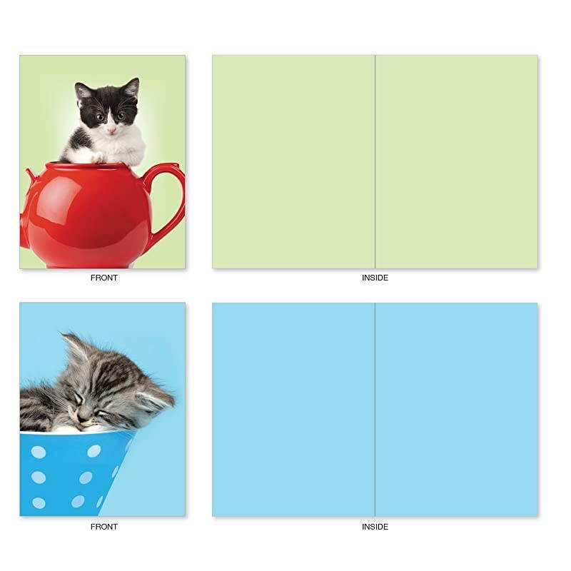 10 All Occasion Blank Cat Cards (4 x 5.12 Inch) - Cute Assorted Bulk Card Set - Cup-Cats M3969