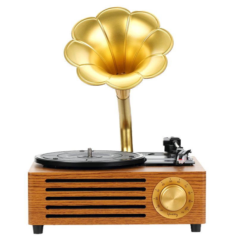 Vintage Petunias Record Player Bluetooth Turntable with 3 Built in Stereo Speakers USB Recording Phonograph