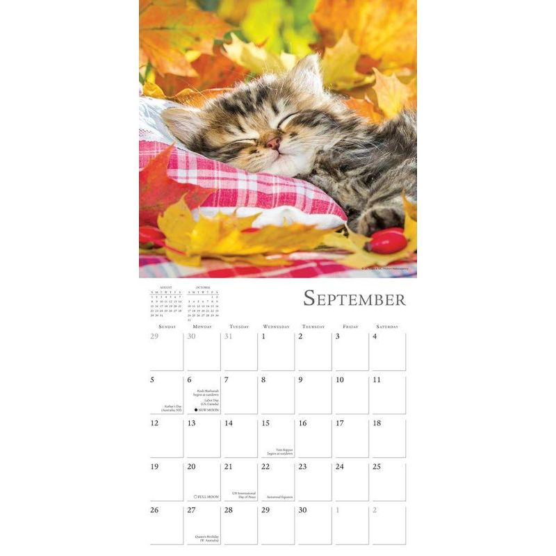 Sellers Publishing, 2021 Outlander 16-Month Wall Calendar