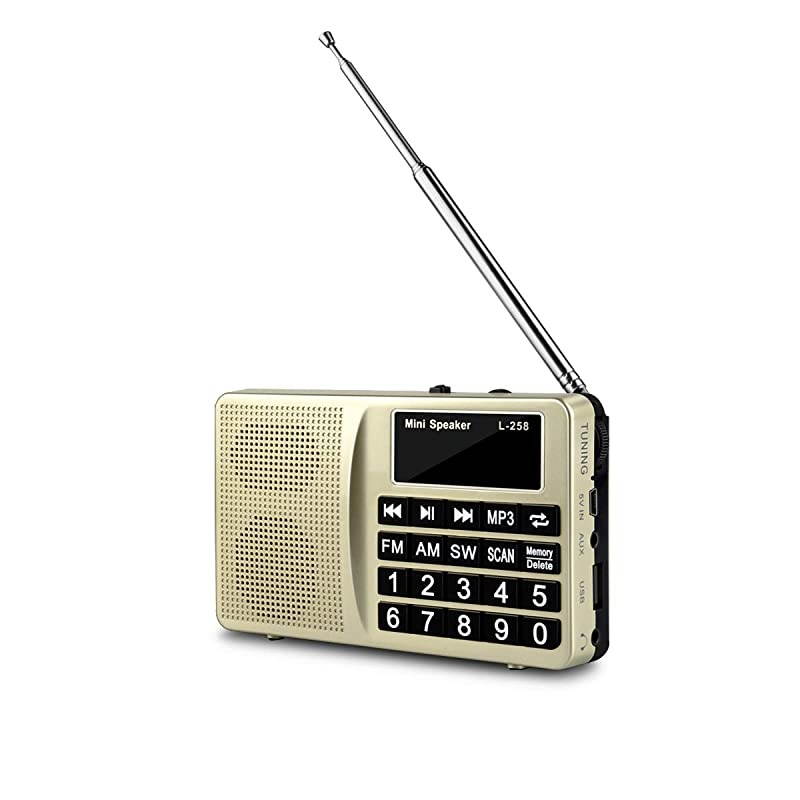 AM SW AllBand Receiver with Best ReceptionPortable Radio with Headset OutputAUX InputMP3External SpeakerTF CardStores Stations Automatically and Powered by Lithium Battery