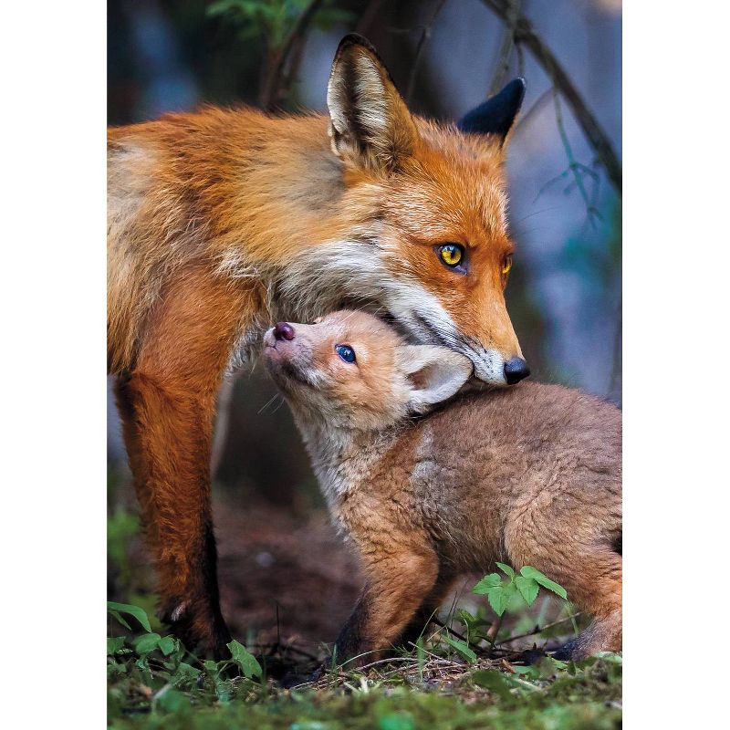 Buffalo Games EarthPix: Better Together Puzzle 500pc