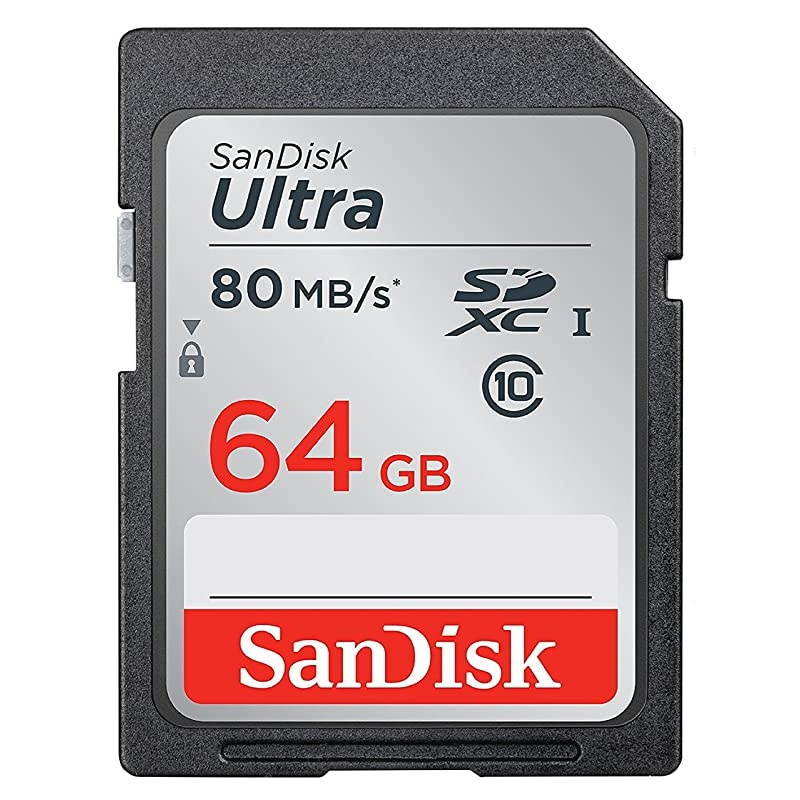 64GB SDXC SD Ultra Memory Card Class 10 Works with Sony Cyber-Shot DSC-W800, W830, W810 Digital Camera (SDSDUNC-064G-GN6IN) Bundle with 1 Everything But Stromboli Multi-Slot Card Reader