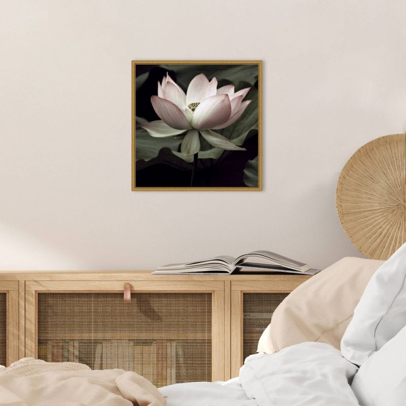 16" x 16" The Lotus I by Andy Neuwirth Framed Canvas Wall Art - Amanti Art