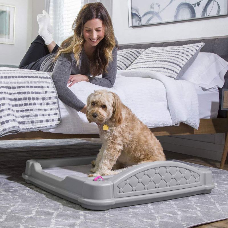 Step2 597899 Close N Cozy Hideaway Comfortable Dog Bed for Small to Medium Dogs with Easy to Clean Cushion and Storage Space, Gray