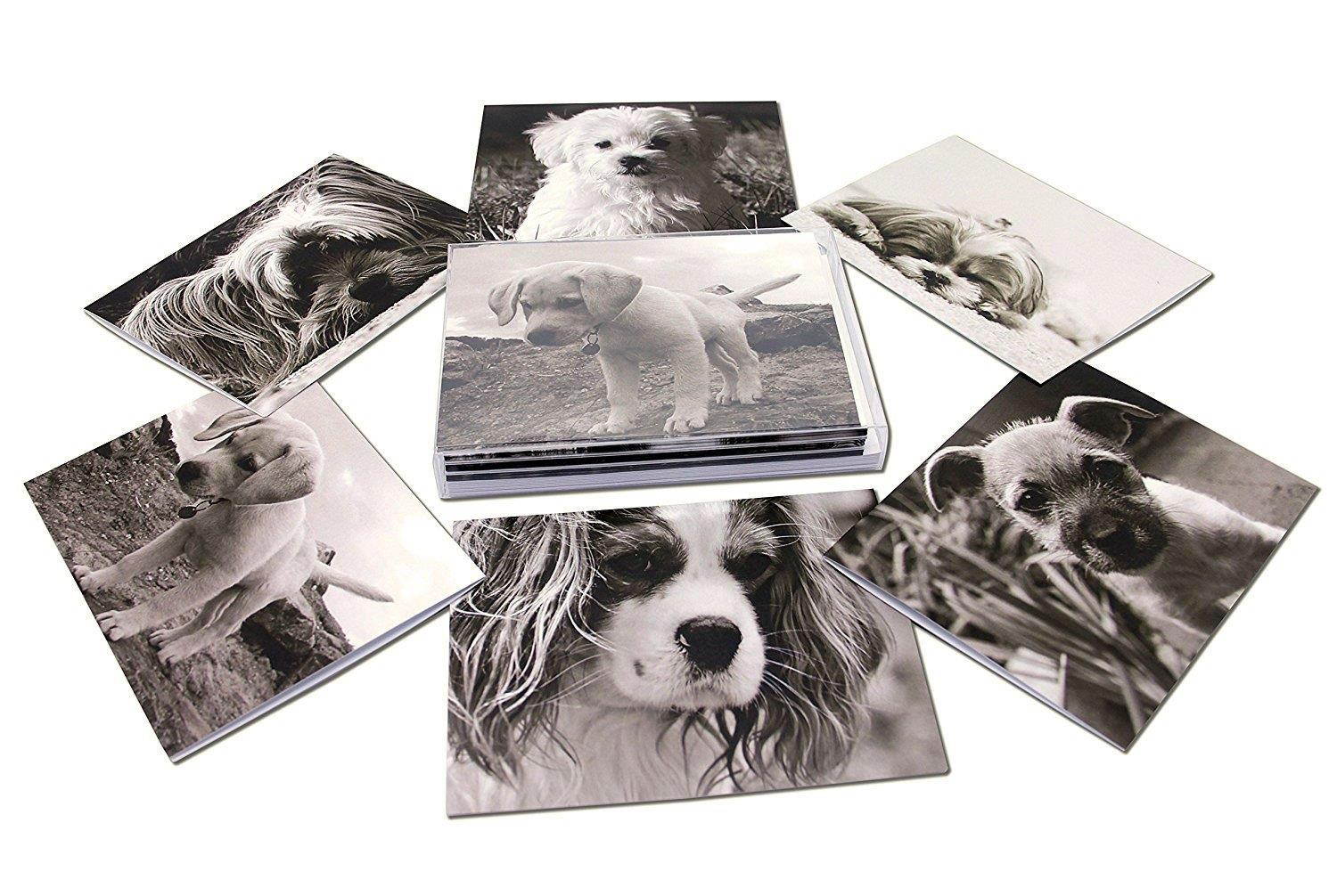Puppy Greeting Cards - Blank on the Inside - Includes Cards and Envelopes - 6 Unique Designs - 5.5"x4.25" (12 Pack)