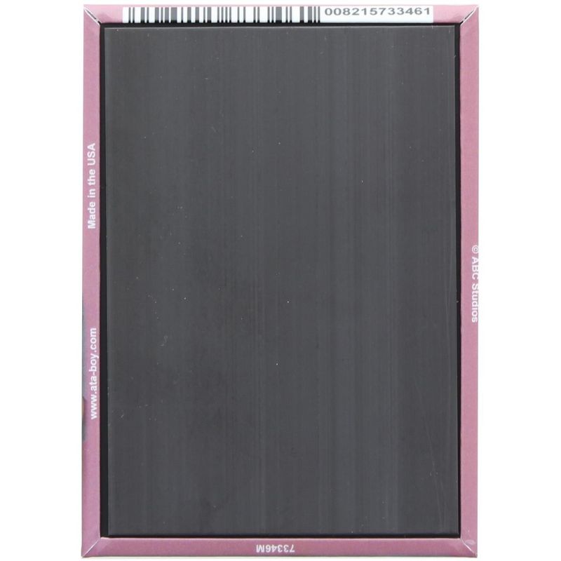 Ata Boy Scrubs Turk Pink Background 2.5 x 3.5 Inch Photo Magnet