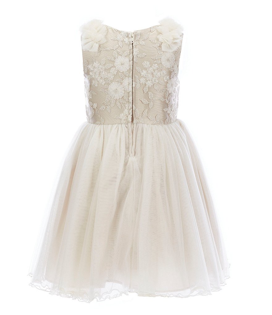 Bonnie Jean Toddler Girls 2T-4T Embroidered/Mesh Ballerina Dress