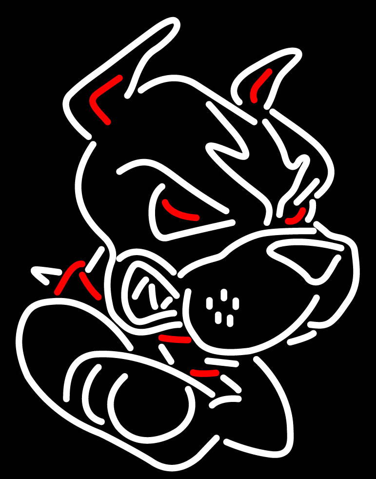 Fashion Neon Sign Boston  Handcrafted Real Glass Lamp Neon Light Neon Sign Beerbar Sign Neon Beer Sign 19x15