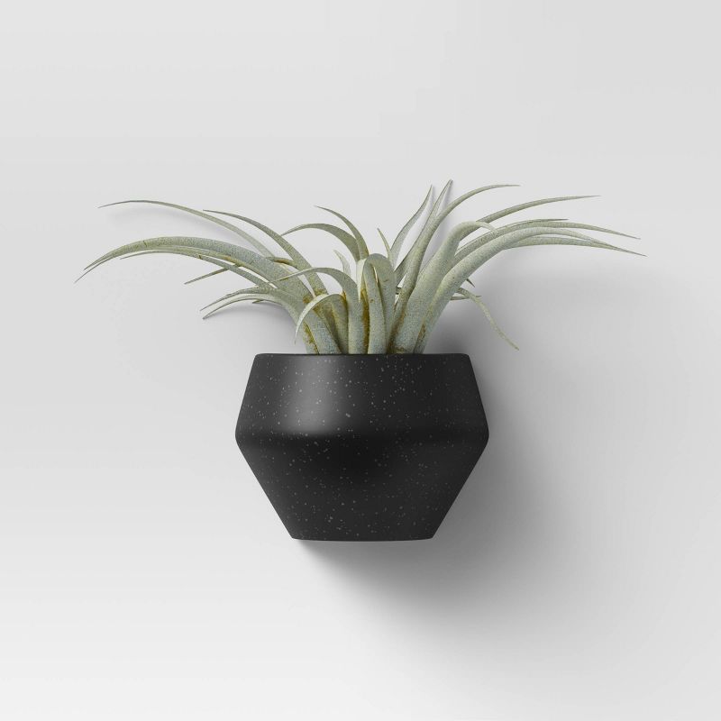 Large Hanging Succulents Wall Sculpture Black - Project 62™