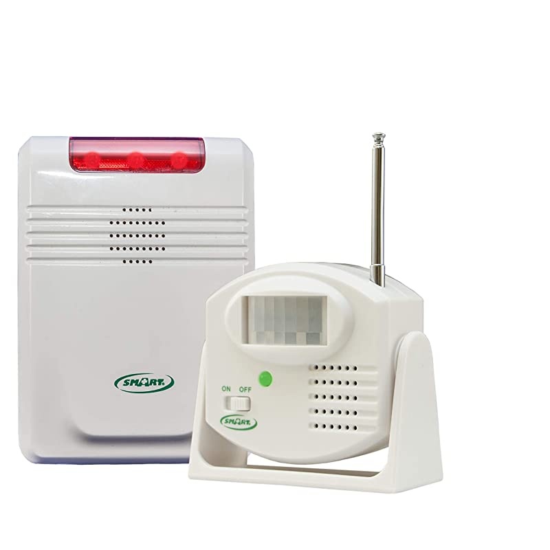 Caregiver Economy Wireless Monitor and Motion Sensor