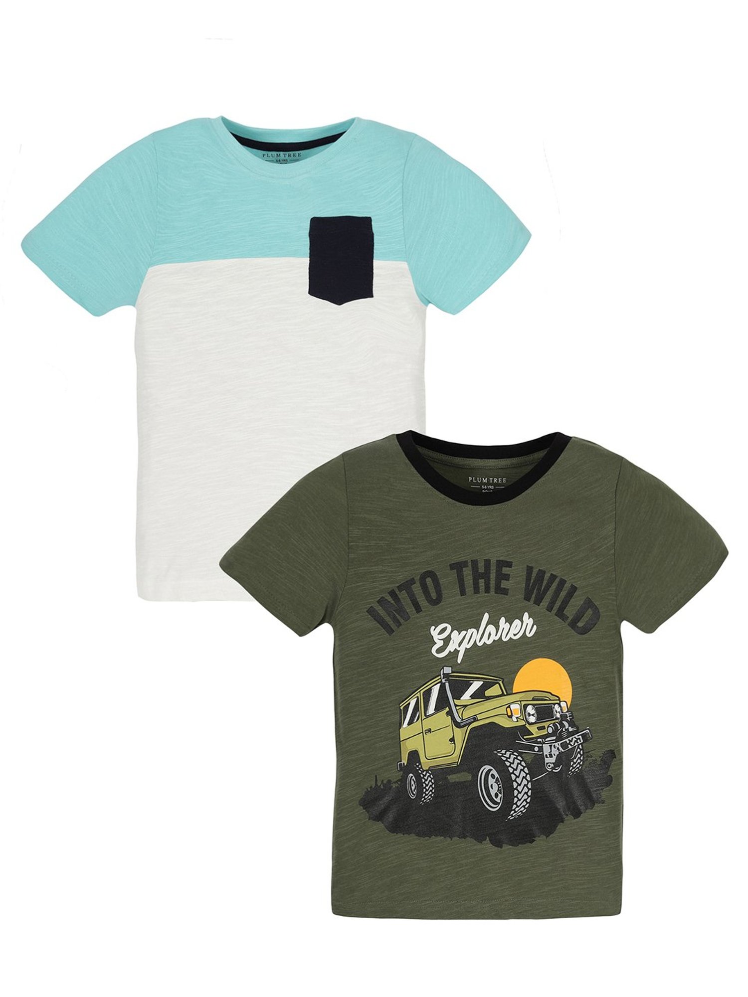 Plum Tree Kids Multicolor Printed T-Shirt (Pack Of 2)