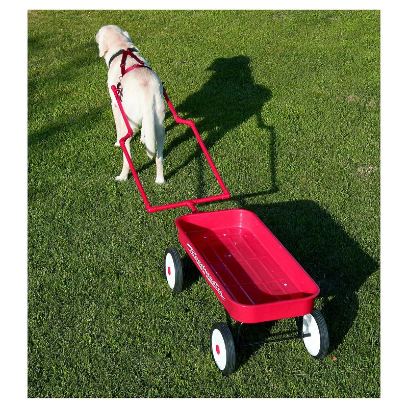 Safety Light Auto Dog Collar