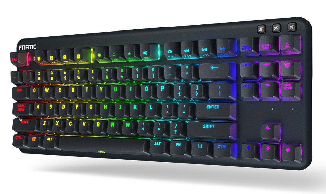 Fnatic miniSTREAK Pro Gaming Mechanical Tenkeyless Esports Keyboard (Cherry MX Red Switches, Multi-Color RGB Lighting, Ergonomic Wrist Rest, Programmable) US-Layout