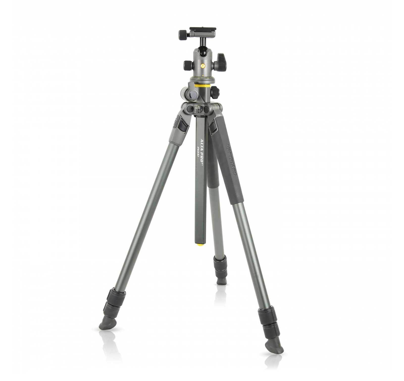 Vanguard Alta Pro 2+ 263AB 100 Aluminum Tripod with Alta BH100