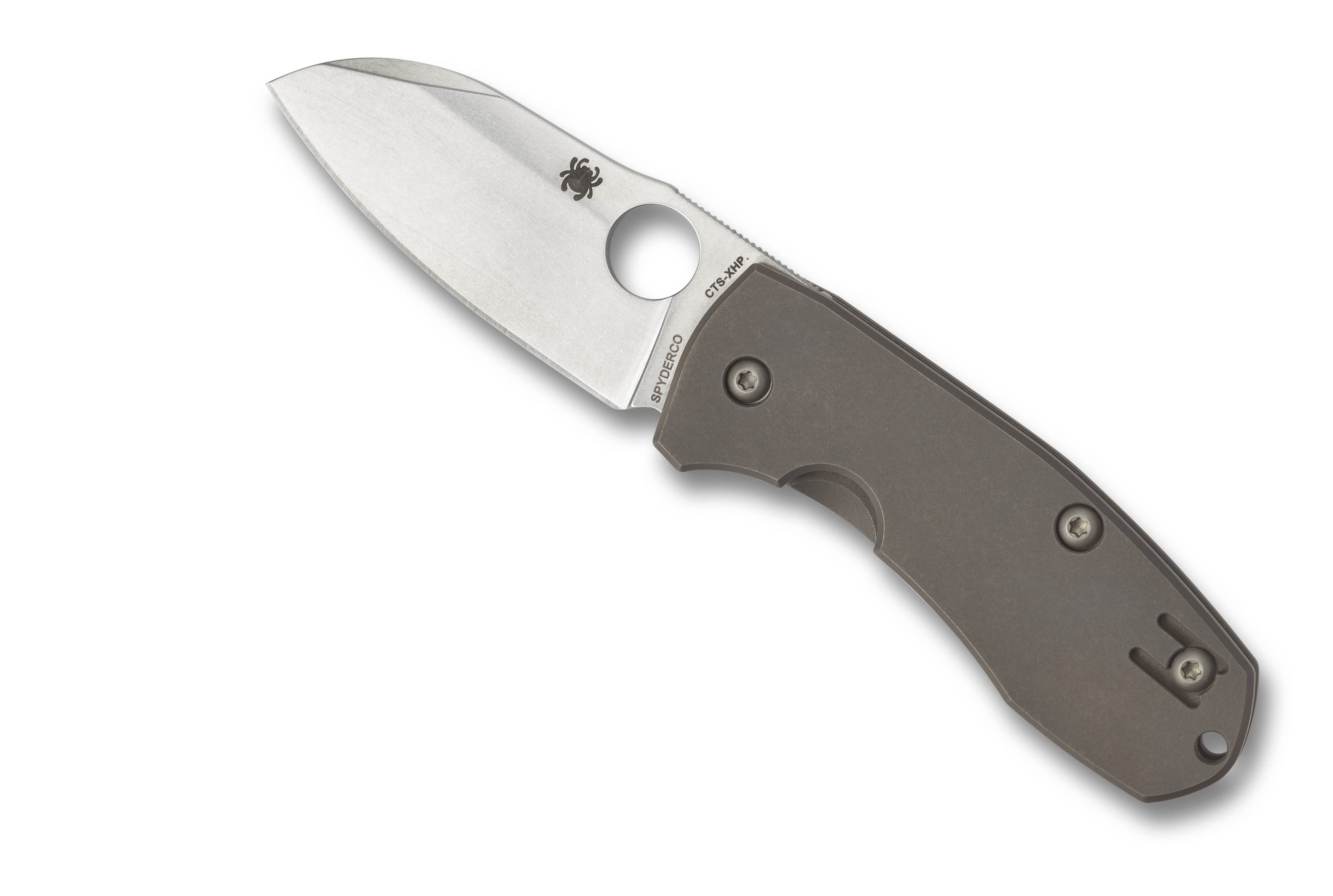 Spyderco Techno 2 Folder 2.55 in Plain Titanium Handle