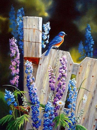 Susan Bourdet's Songbirds - Blank Card Set by Leanin' Tree (AST90634) - 20 cards with full-color interiors and 22 designed envelopes