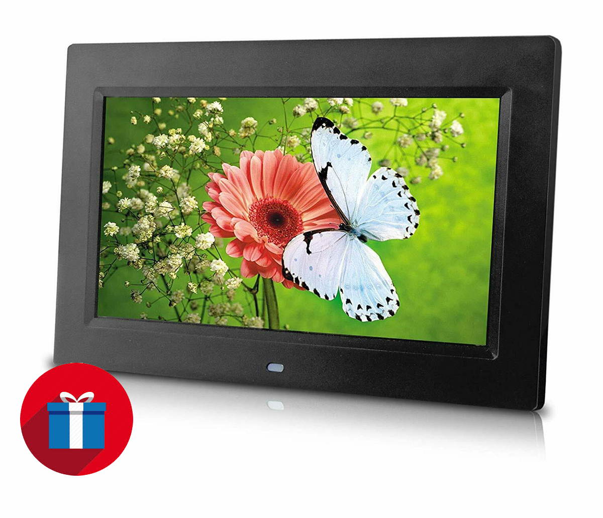 Sungale PF1025 10 Inch Digital Picture Frame