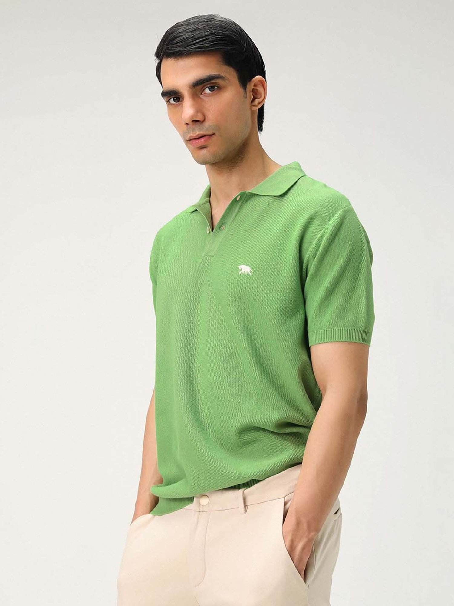 ANDAMEN Green Regular Fit Textured Polo T-Shirt