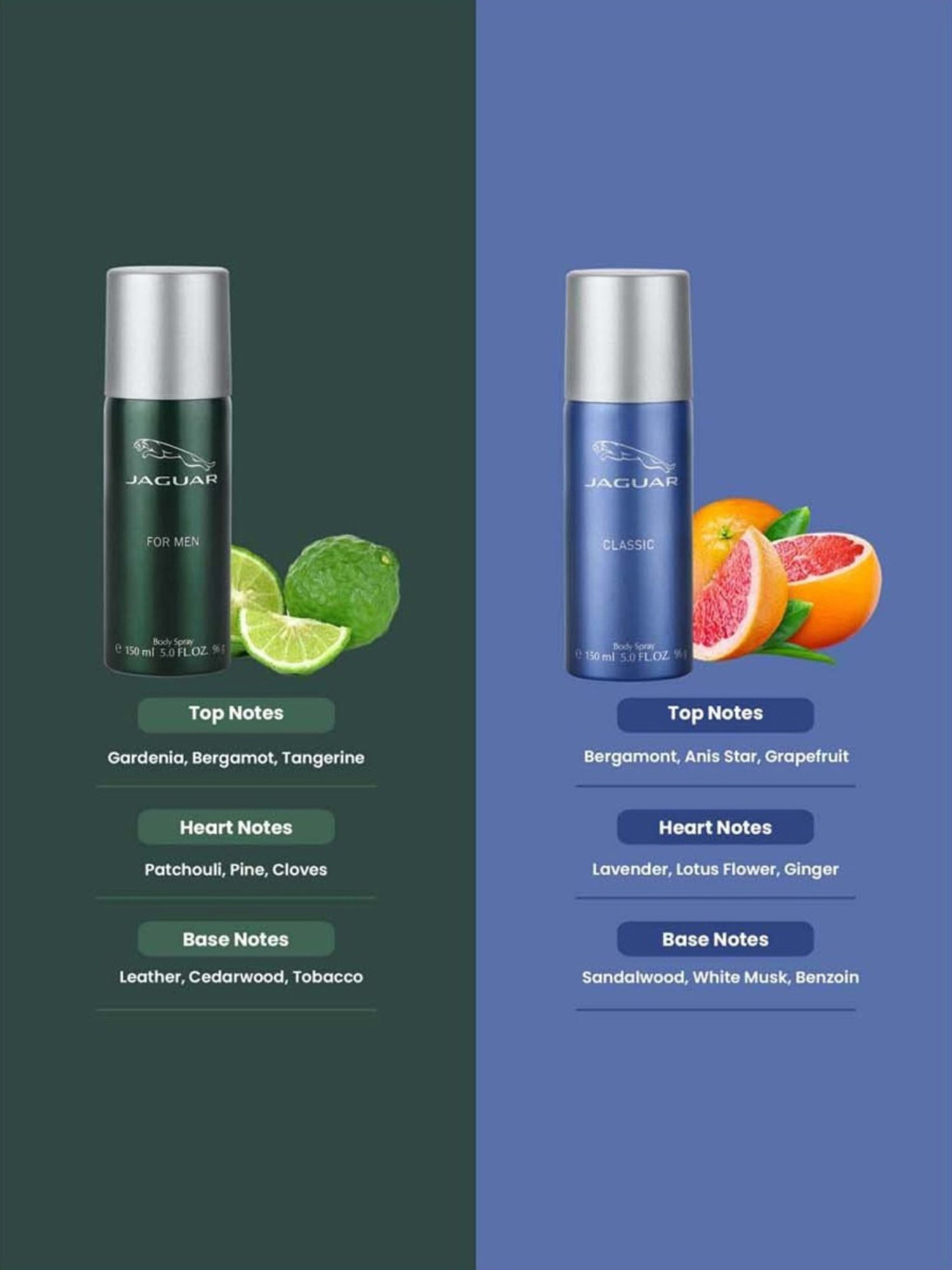 Jaguar for Men & Classic Deo Combo Set