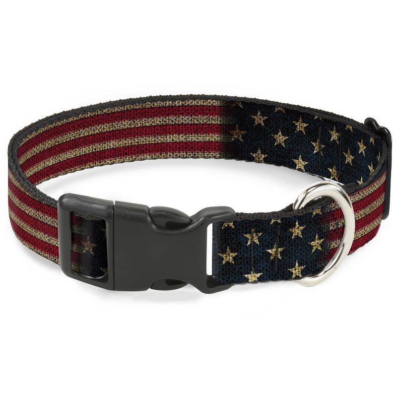 American Flag - Buckle-Down Dog Leash & Collar Set - L