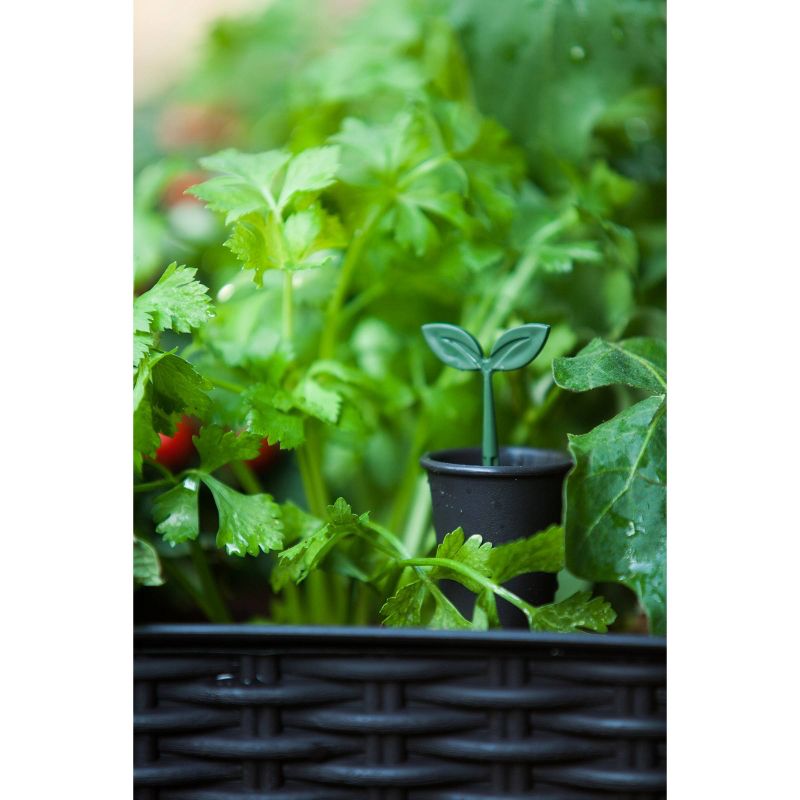 Rectangular Easy Grow Elevated Garden Bed Anthracite - Keter