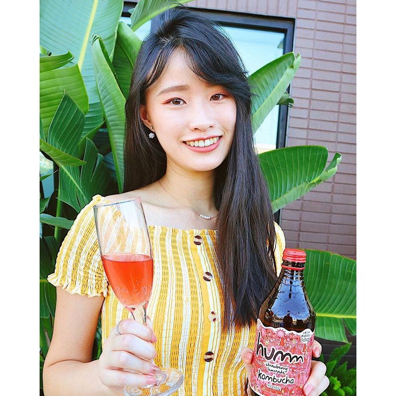 Humm Strawberry Lemonade Kombucha 14oz