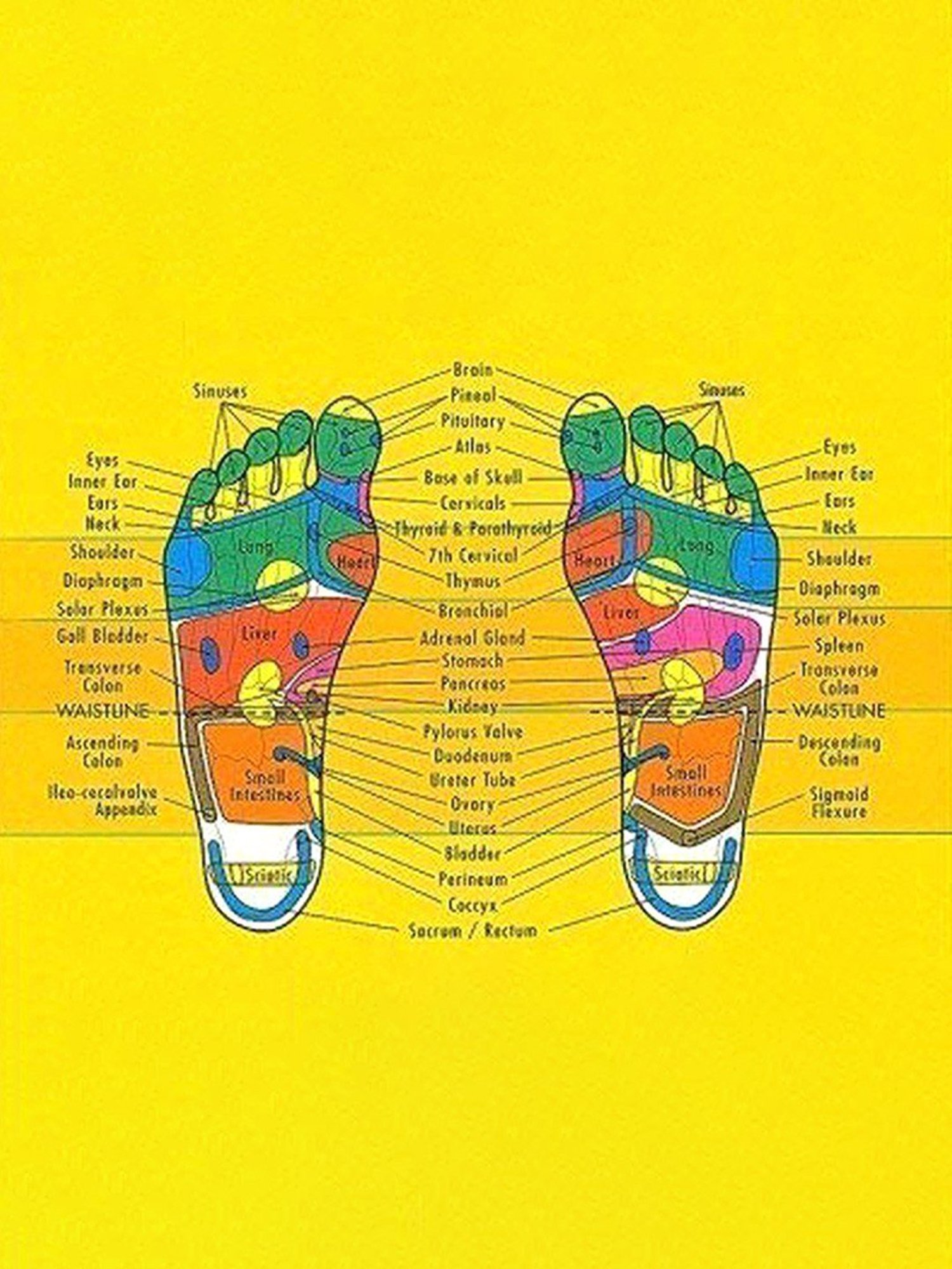 PAXMAX Acupressure Power Relief Plastic Mat (Black)