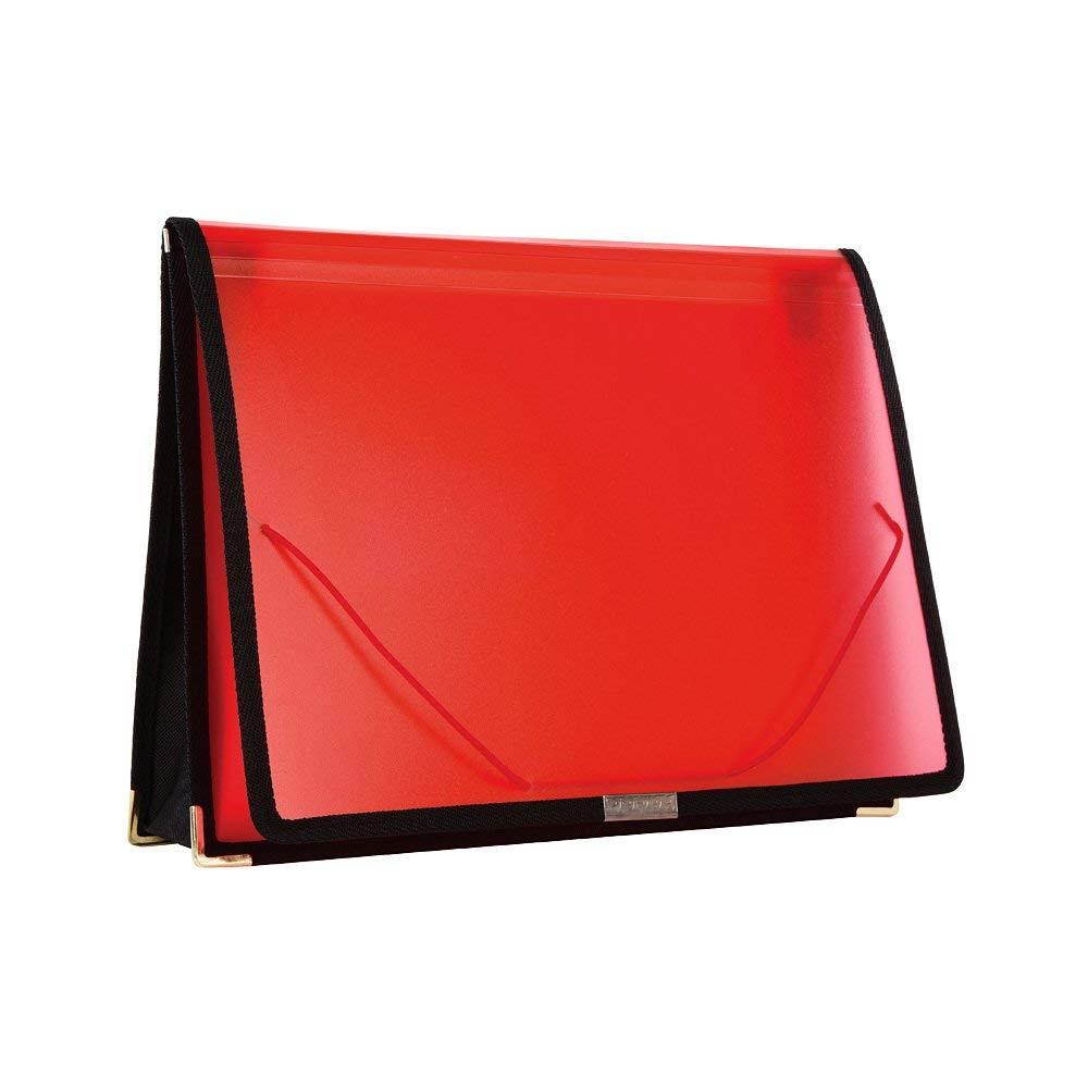 Filexec Single Pocket Expanding File, Letter, Elastic Closure, Assorted, Pack of 6 (50125-3429)