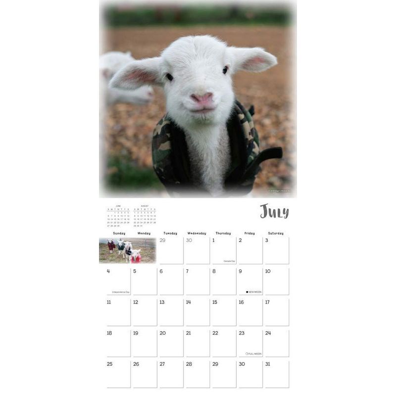 Sellers Publishing 2021 Lambies in Jammies & Goats in Coats 16-Month Wall Calendar Edgar's Mission Inc.