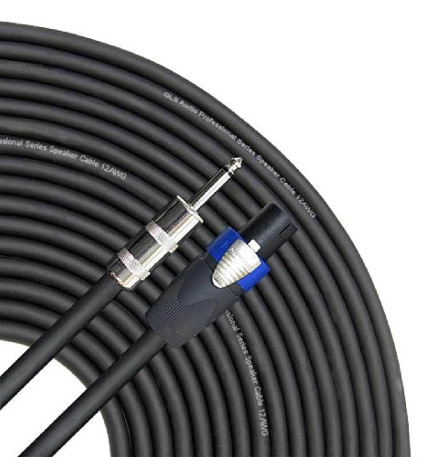 GLS Audio 25 feet Speaker Cable 12AWG Patch Cords - 25 ft 1/4 to Speakon Professional Cables Black Neutrik NL4FX (NL4FC) 12 Gauge Wire - Pro 25' Phono 6.3mm to Speak-on Cord 12G - Single