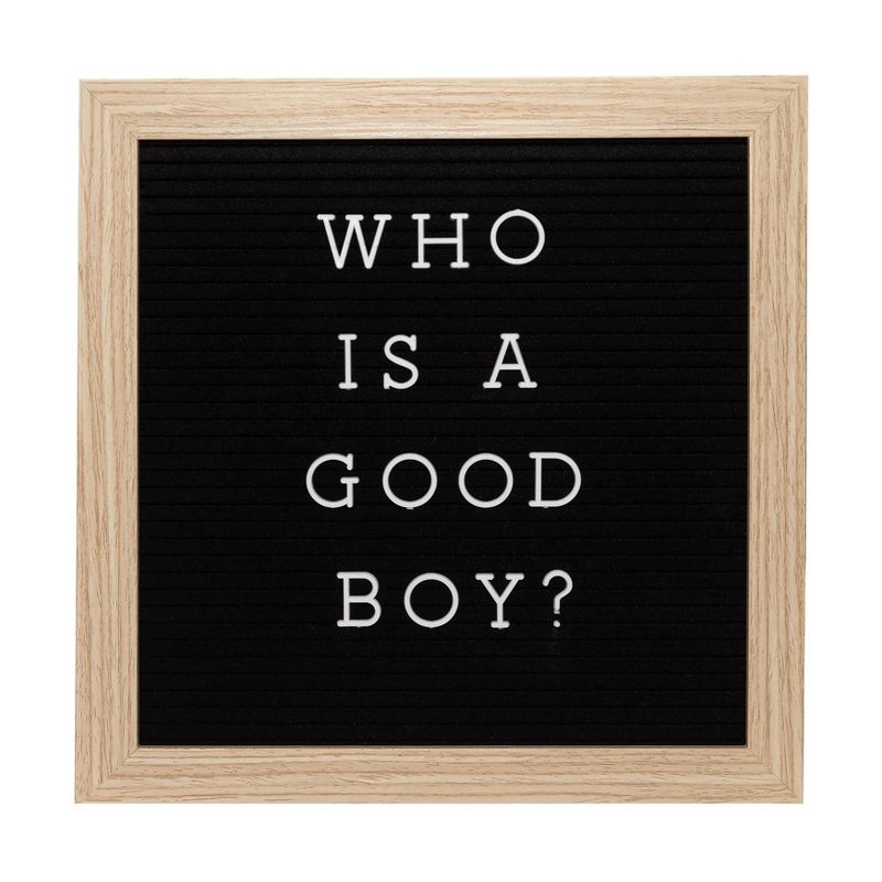 Pearhead Pet Letterboard Set - Black