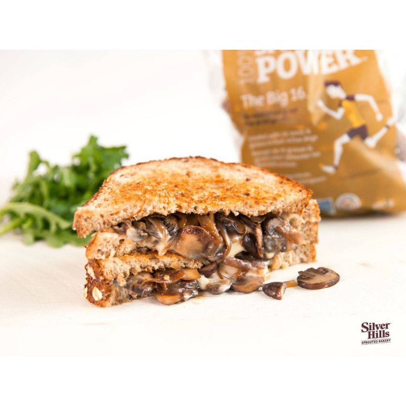 Silver Hills Bakery Vegan The Big 16 Sprouted Grain Bread - 22oz